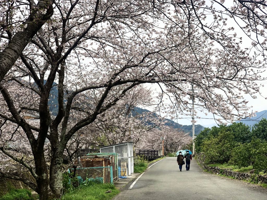観光地｜勝浦町ポータルサイト